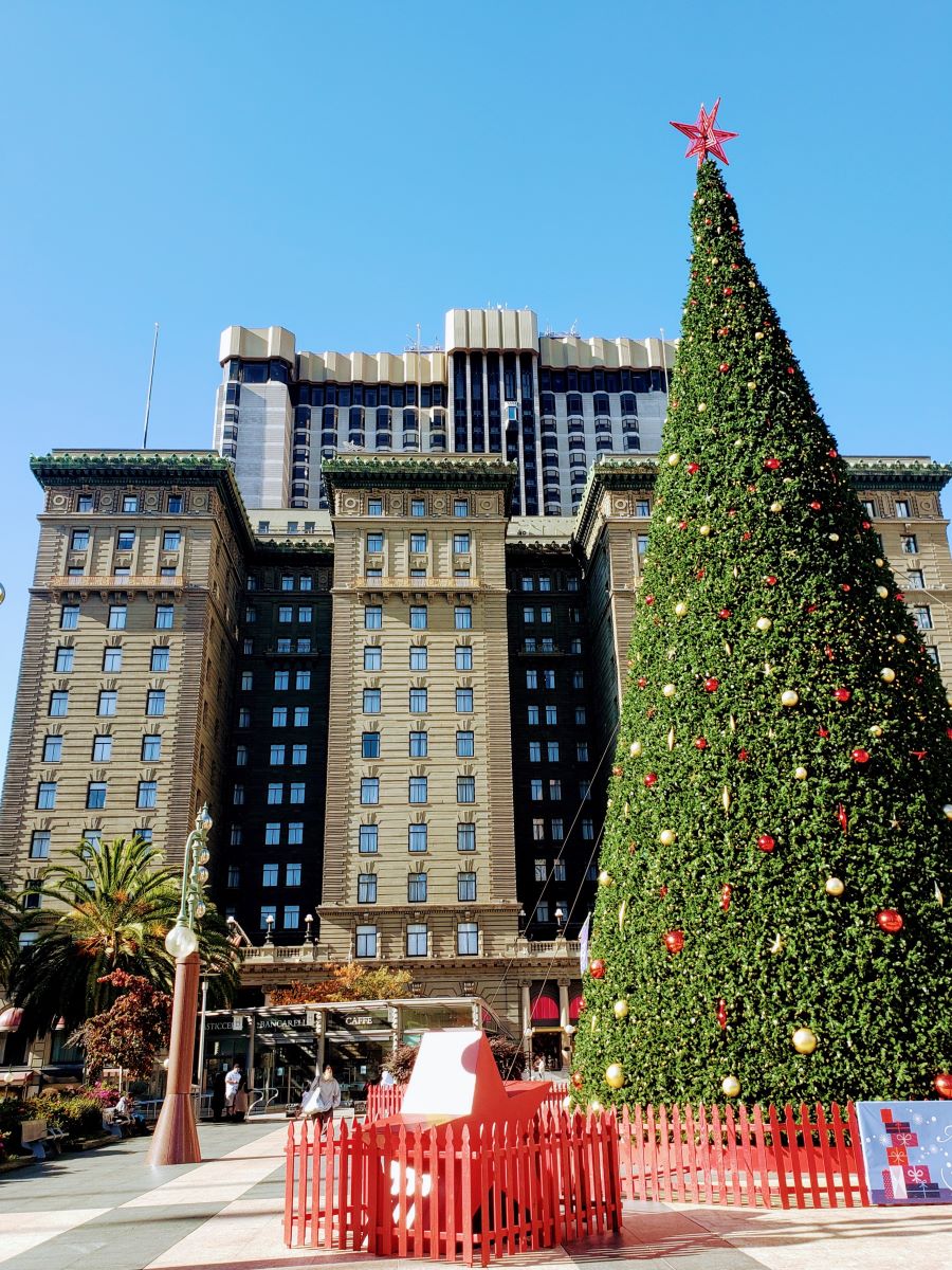 17 Magical Ways to Spend Christmas in San Francisco California Family